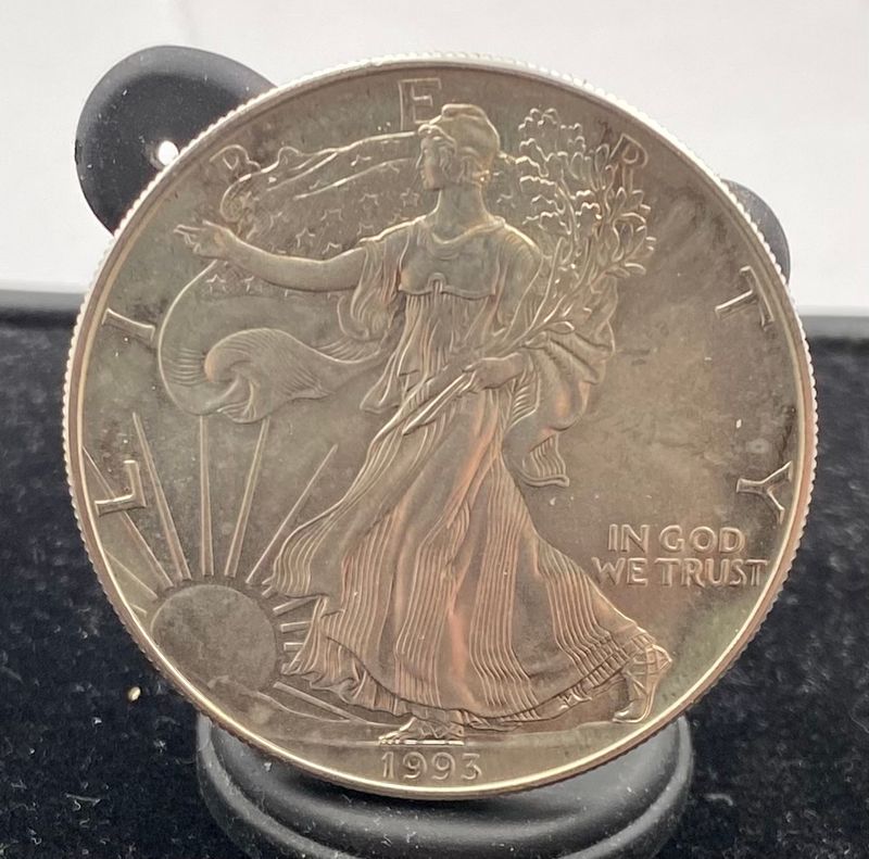 USA: 1 Dollar Silver Eagles 1993