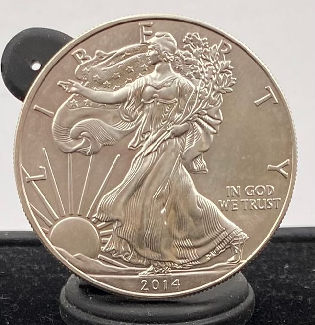 Hovedbilde USA: 1 Dollar Silver Eagles 2014
